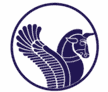 Iran Air Tour airline logo