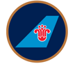 China Southern Airlines airline logo